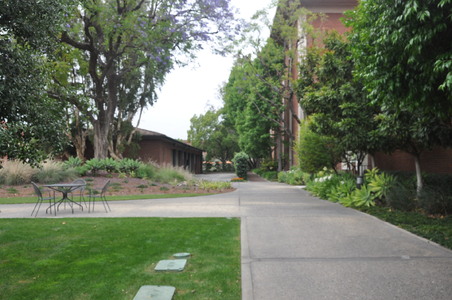 Enlarge photo 49