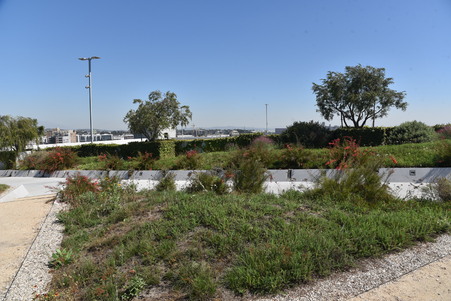 Enlarge photo 15