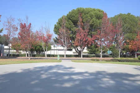 Enlarge photo 12