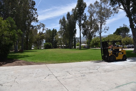 Enlarge photo 4