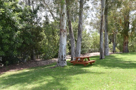 Enlarge photo 9