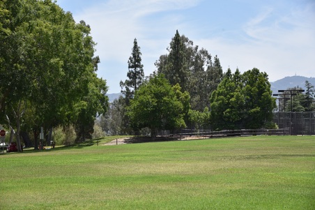 Enlarge photo 28