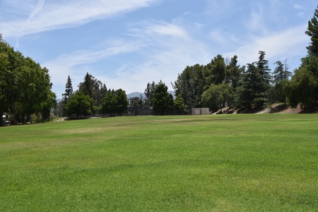 Enlarge photo 30