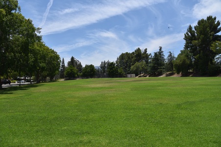 Enlarge photo 37