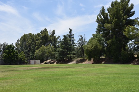 Enlarge photo 38