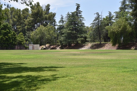 Enlarge photo 43