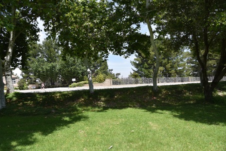 Enlarge photo 62