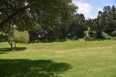 Enlarge photo 63