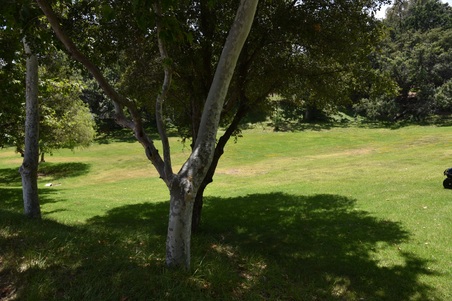 Enlarge photo 74