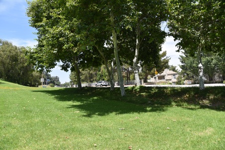 Enlarge photo 76