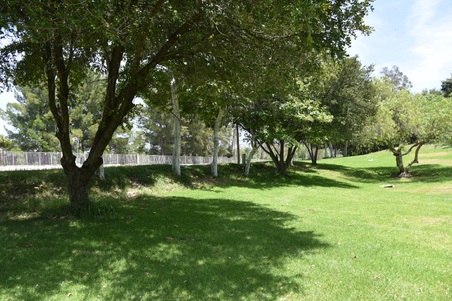 Enlarge photo 78