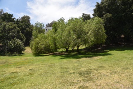 Enlarge photo 79