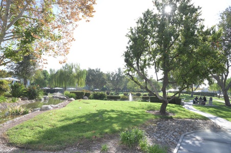 Enlarge photo 38