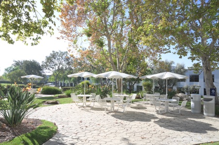 Enlarge photo 40