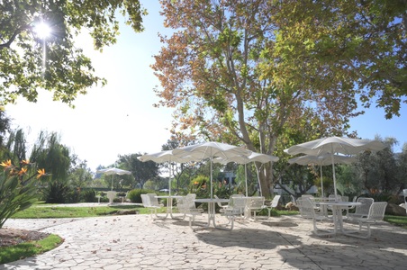 Enlarge photo 42