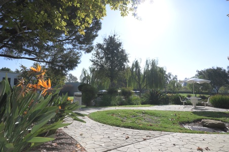 Enlarge photo 44