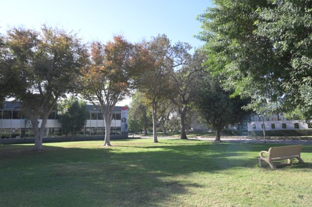 Enlarge photo 32