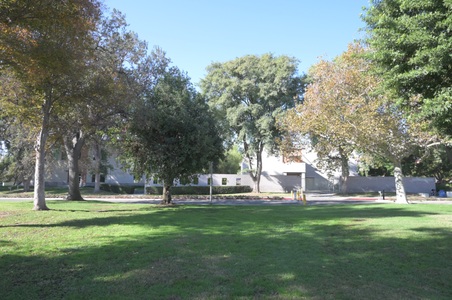 Enlarge photo 35