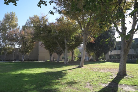 Enlarge photo 37