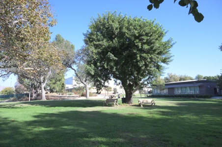 Enlarge photo 38