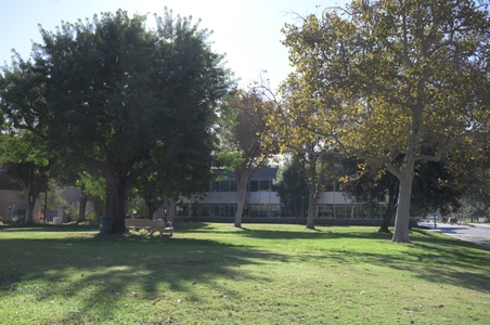 Enlarge photo 41