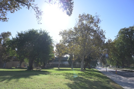 Enlarge photo 42