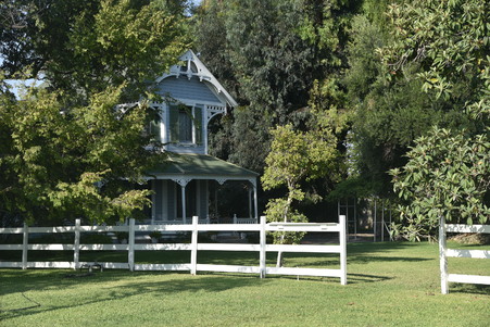 Padison farms