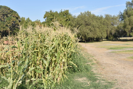Enlarge photo 38