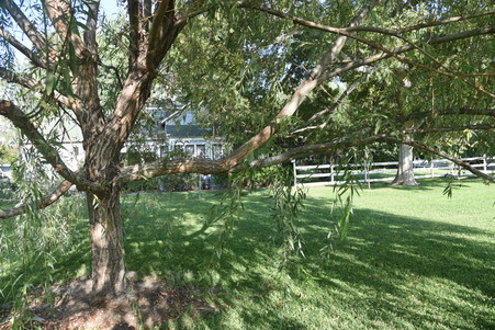 Enlarge photo 52