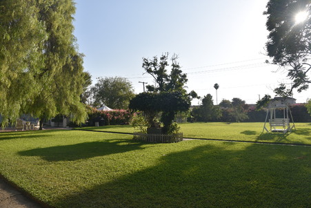 Enlarge photo 96