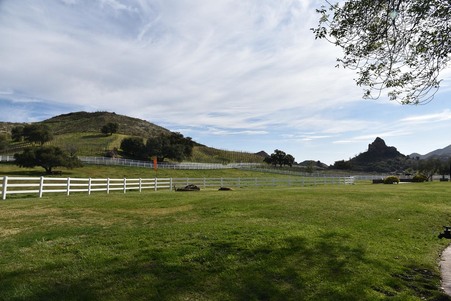 Enlarge photo 3