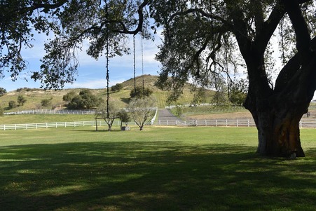 Enlarge photo 21