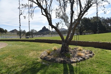 Enlarge photo 30