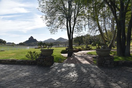 Enlarge photo 38