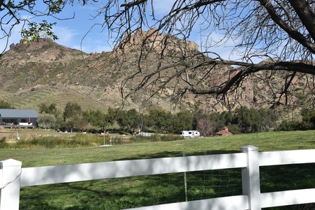 Enlarge photo 46