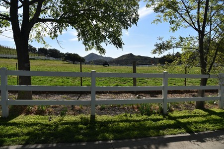 Enlarge photo 47