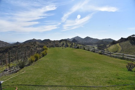Enlarge photo 55