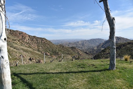 Enlarge photo 58