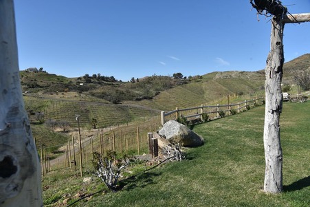 Enlarge photo 60