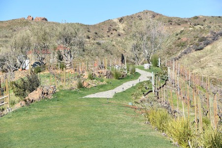 Enlarge photo 62