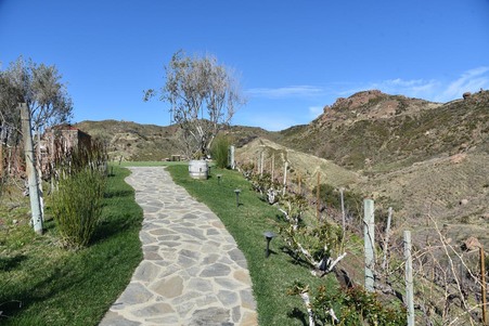 Enlarge photo 67