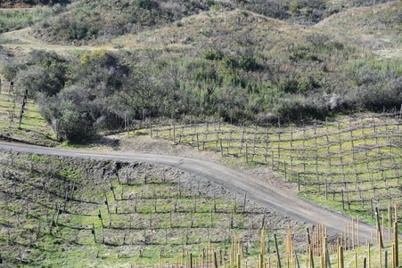 Enlarge photo 71