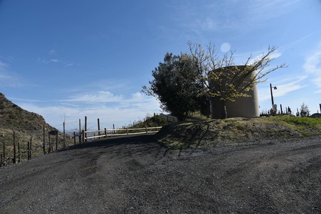 Enlarge photo 78