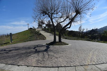 Enlarge photo 80