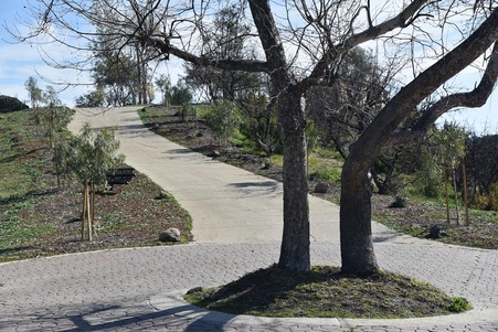 Enlarge photo 81