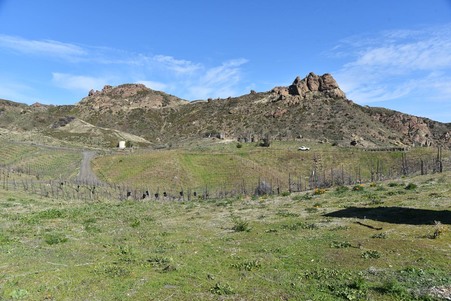 Enlarge photo 82
