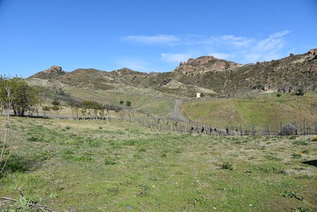 Enlarge photo 83