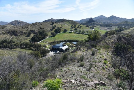 Enlarge photo 89