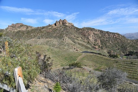 Enlarge photo 91