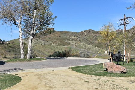Enlarge photo 93